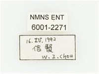 血紅虎斑花金龜藏品圖，第2張