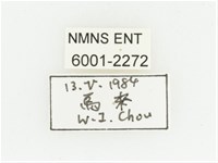 血紅虎斑花金龜藏品圖，第2張