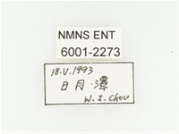 巴蘭陷紋金龜藏品圖，第2張