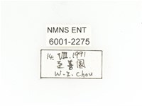 銅點花金龜藏品圖，第2張