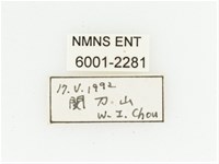 臺灣跗花金龜藏品圖，第2張