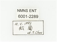 血紅虎斑花金龜藏品圖，第2張