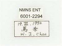 血紅虎斑花金龜藏品圖，第2張