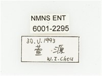 血紅虎斑花金龜藏品圖，第2張