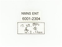 銅點花金龜藏品圖，第2張