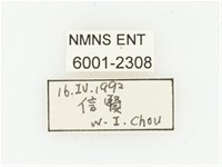 血紅虎斑花金龜藏品圖，第2張