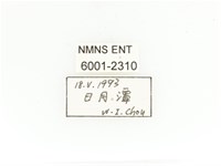 銅艷白點花金龜藏品圖，第2張