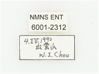 巴蘭陷紋金龜藏品圖，第2張