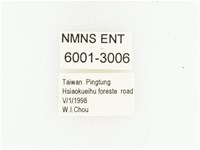 巴蘭陷紋金龜藏品圖，第2張