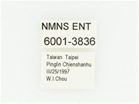 灰斑擬黑花金龜藏品圖，第2張