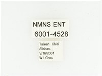 巴蘭陷紋金龜藏品圖，第2張