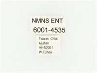 巴蘭陷紋金龜藏品圖，第2張