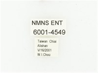 巴蘭陷紋金龜藏品圖，第2張