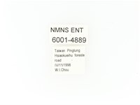 臺灣角金龜藏品圖，第2張