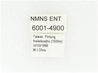 黑斑陷紋金龜藏品圖，第2張