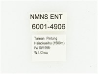 艷邊花金龜藏品圖，第2張