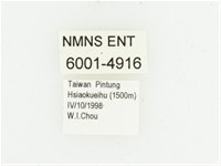 艷邊花金龜藏品圖，第2張