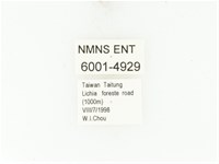 藍艷白點花金龜藏品圖，第2張