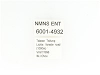 藍艷白點花金龜藏品圖，第2張