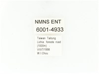 藍艷白點花金龜藏品圖，第2張