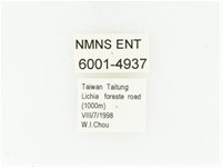 藍艷白點花金龜藏品圖，第2張