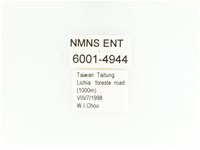 藍艷白點花金龜藏品圖，第2張