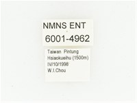 黑斑陷紋金龜藏品圖，第2張