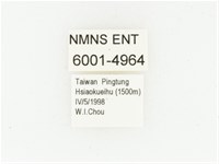 黑斑陷紋金龜藏品圖，第2張