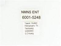 三輪長腳花金龜藏品圖，第2張