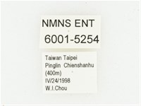 血紅虎斑花金龜藏品圖，第2張