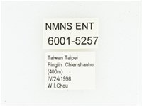 血紅虎斑花金龜藏品圖，第2張