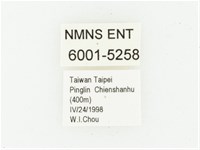 血紅虎斑花金龜藏品圖，第2張