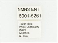 血紅虎斑花金龜藏品圖，第2張