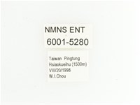 綠艷長腳花金龜藏品圖，第2張