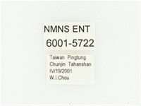 艷邊花金龜藏品圖，第2張