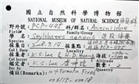 造殼海葵之一種藏品圖，第8張