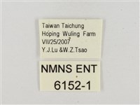 小紋颯弄蝶藏品圖，第3張