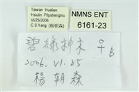珂灰蝶藏品圖，第3張