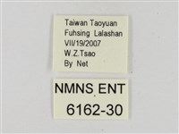 奇萊禪弄蝶藏品圖，第3張