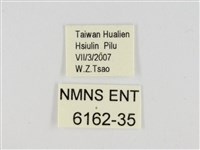 萬大弧弄蝶藏品圖，第3張