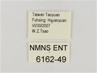 昏列弄蝶藏品圖，第2張