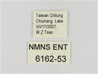 薑弄蝶藏品圖，第3張