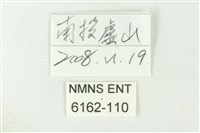 秀洒灰蝶藏品圖，第3張