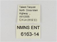 小紋颯弄蝶藏品圖，第3張