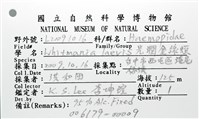 光潤金線蛭藏品圖，第12張