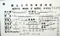 脊背壺海膽藏品圖，第32張