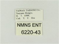 小紫灰蝶藏品圖，第3張