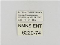 假禾弄蝶藏品圖，第3張