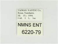 杉谷琉灰蝶藏品圖，第3張
