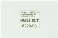 弧弄蝶藏品圖，第3張